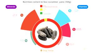100 Grams Sea Cucumber, Yane