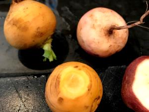 100 Grams Swede, Raw