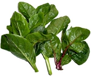100 Grams Vine Spinach, Raw (Basella)