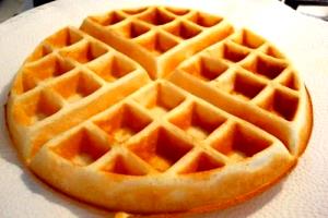 100 Grams Waffle Plain, Frozen, Rth