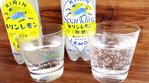 100 Ml Carbonated Water Unsweetened