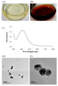100 Ml Consomme Soup (with Gelatin, with Equal Volume Water, Dehydrated)