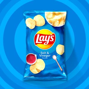 15 Chips Salt & Vinegar Potato Chips