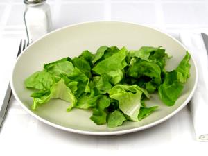 2 1/2 cups (85 g) Butter Lettuces