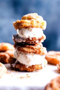 2/3 cup (113 g) Churro Ice Cream