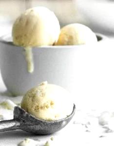 2/3 cup (139 g) Toasted Coconut Fudge Gelato