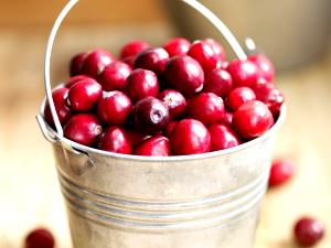 2/3 cup (55 g) Cranberry Nut Goodness