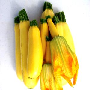 2/3 cup (85 g) Baby Crookneck Squash