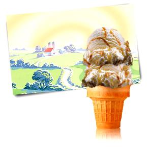 2/3 cup (88 g) All Natural Salted Caramel Ice Cream