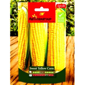 2/3 cup (89 g) Sweet Yellow Corn