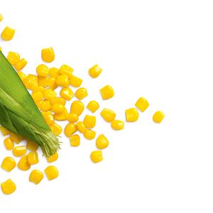 2/3 cup (90 g) Golden Cut Corn