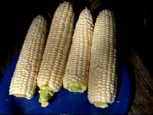 2/3 cup (94 g) Organic White Sweet Corn