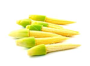 2 corns (28 g) Baby Corn
