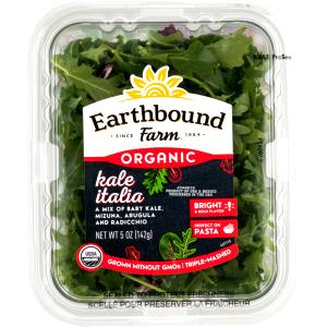 2 cups (3 oz) Kale Italia