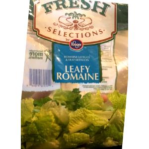 2 cups (85 g) Fresh Selections Leafy Romaine
