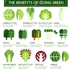 2 cups (85 g) Green & Crisp Lettuce with Iceberg & Romaine