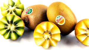 2 kiwifruit (162 g) Sungold Kiwi