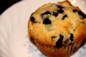 2 muffins (63 g) Protein Blueberry Muffins