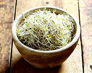 2 oz (56 g) Alfalfa Sprouts