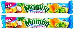 2 Pieces Fruit Chews Tropical Fruits Fun Size