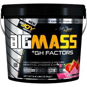 2 scoops (196.76 g) Mass Gainer