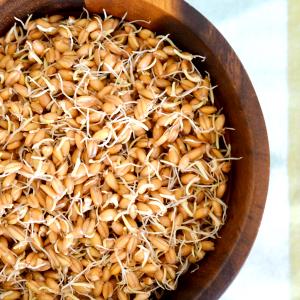2 tbsp (30 g) Sprouted Grains & Super Seeds