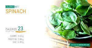 2 tbsp (32 g) Spinach & Artichoke Dip