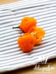 2 tbsp Habanero & Lime Salsa