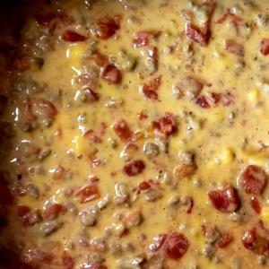 2 tbsp Velveeta Spicy Sausage Dip