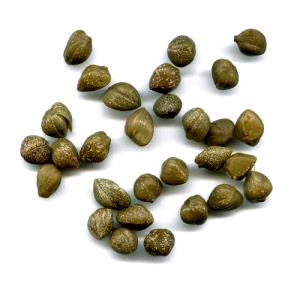 20 Capers Capers