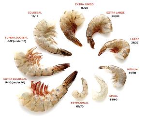 20 shrimp (112 g) Petite Shrimp
