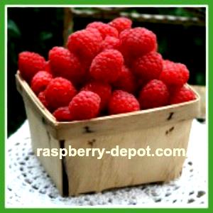 3/4 cup (140 g) Select Raspberries
