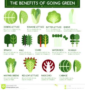 3/4 cup (85 g) Red, Green & Yellow Pepper Strips