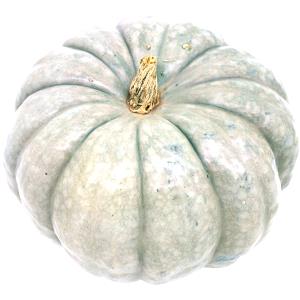 3/4 Cup Australian Blue Squash