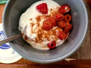 3/4 Cup Greek Yogurt, Organic, Raspberry