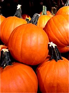 3/4 Cup Hubbard Squash, Orange