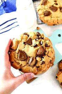 3 cookies (38 g) Peanut Butter Bite-Size Nibbler Cookies