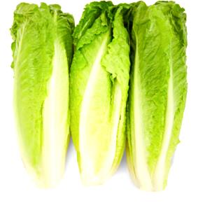 3 cups (3 oz) Baby Romaine