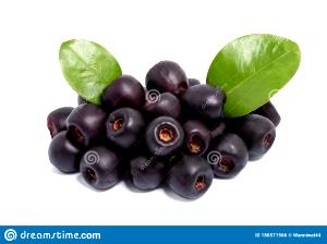 3 Fruits Java-Plum (Jambolan)