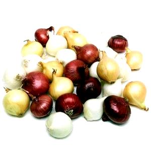 3 Onions Onion, Boiler