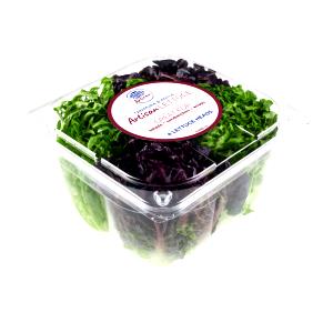 3 oz (85 g) Artisan Lettuce
