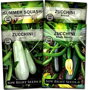 3 oz (85 g) Baby Green Squash