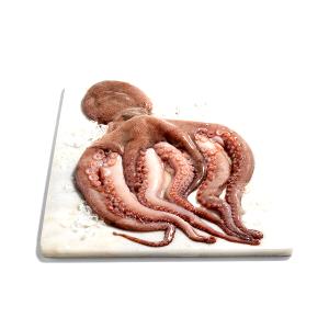 3 oz (85 g) Cooked Octopus