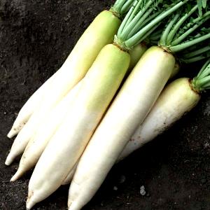 3 oz (85 g) Daikon