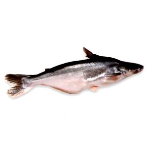 3 oz (85 g) Pangasius Vietnamese Catfish