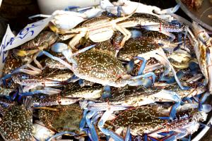 3 Oz Blue Crab, Raw
