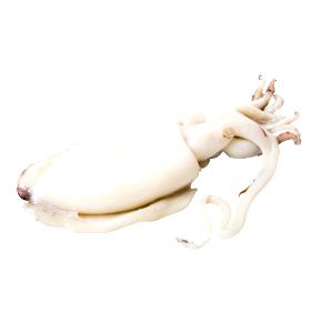 3 Oz Cuttlefish, Raw