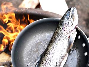 3 Oz Farmed Rainbow Trout (Cooked, Dry Heat)