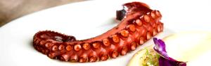 3 Oz Octopus, Common, Cooked