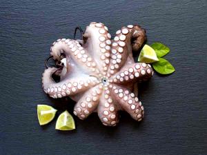3 Oz Octopus (Cooked, Moist Heat)